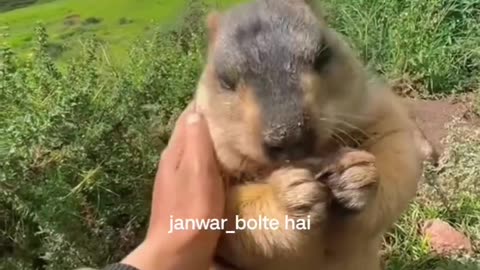 Brothers story😂
