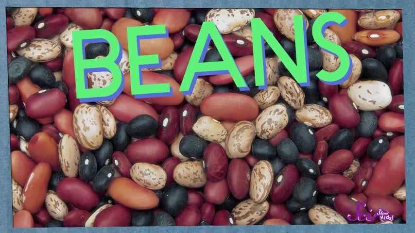 What's Inside a Bean - #sciencegoals