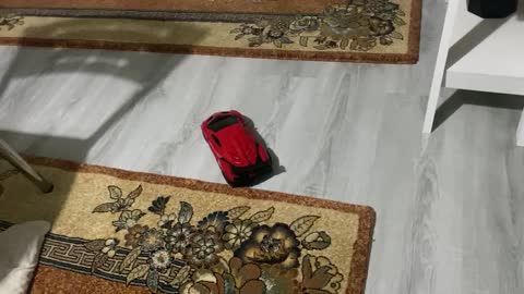 control toy car