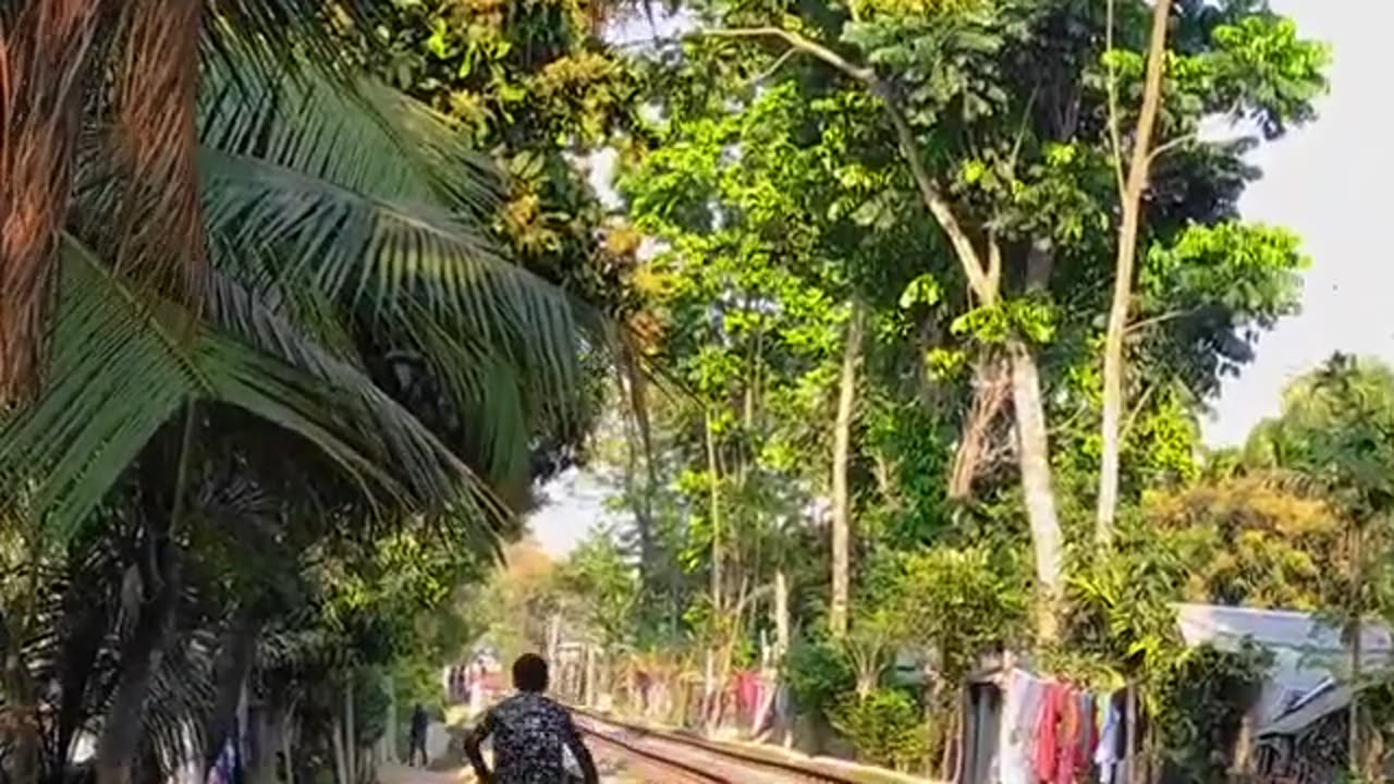 Dolon-chapa Express Train