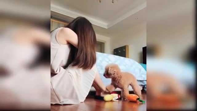 Best Friensd _Cute And Funny Videos