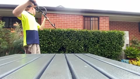 Trimming Box Hedge