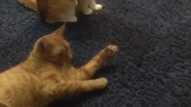 Very Incatent