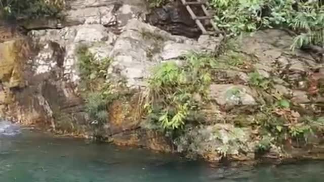 O segredo da paz interior é manter a conexão com a natureza.