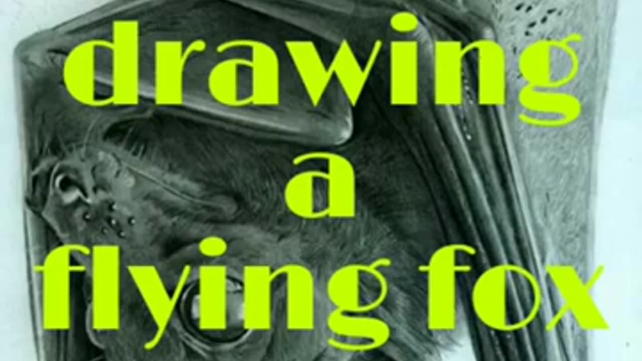 Drawing a Flying Fox