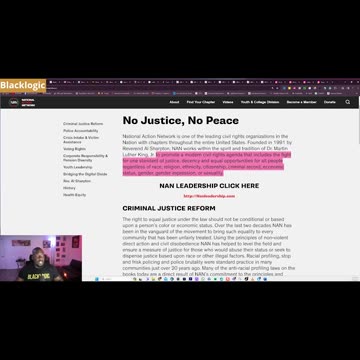 National Action Network Is A Do NOTHING Organization