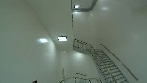 3157RHOB03Stair4_2021-01-06_03h20min00s983ms.mp4