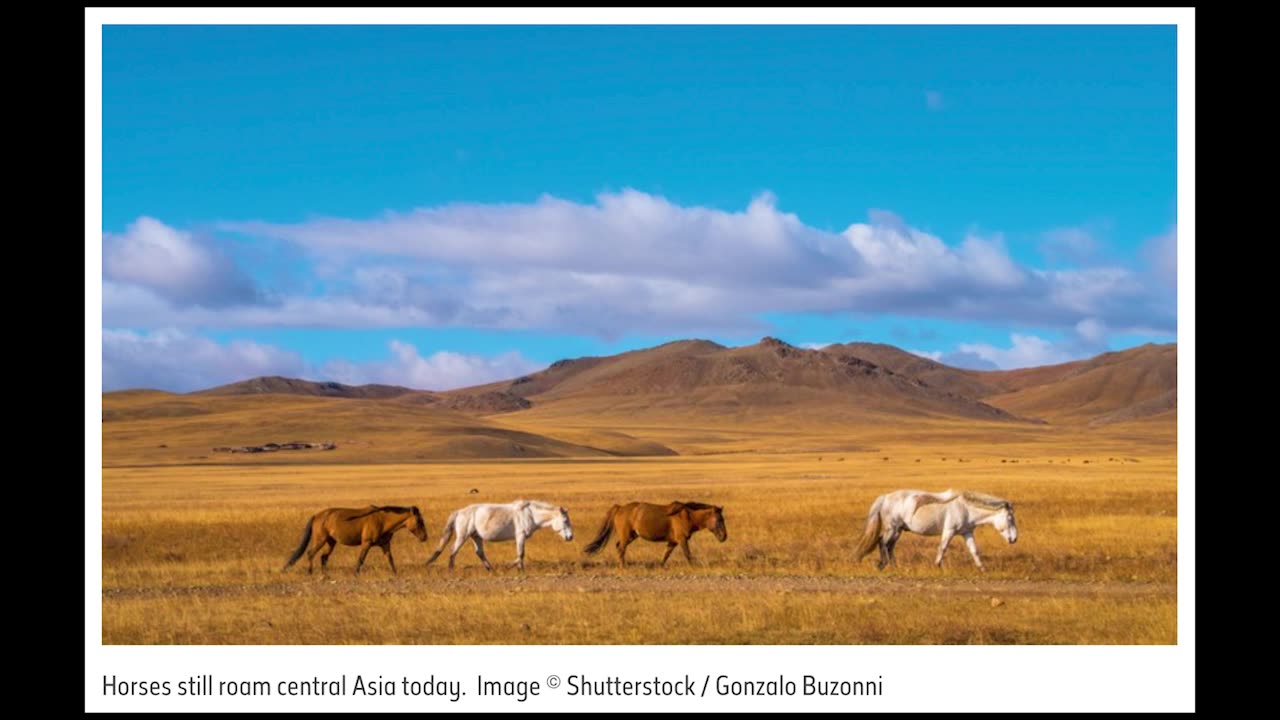 Origin of Domestic Horses Uncovered in Central Asia