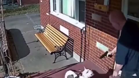 Aggressive dog attacks an armed man