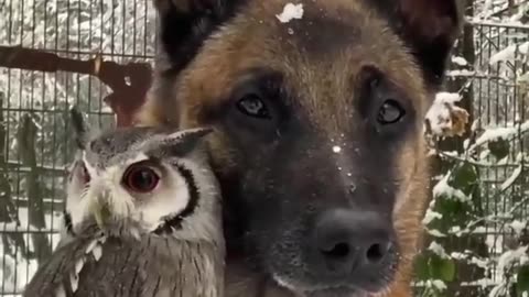 Besties
