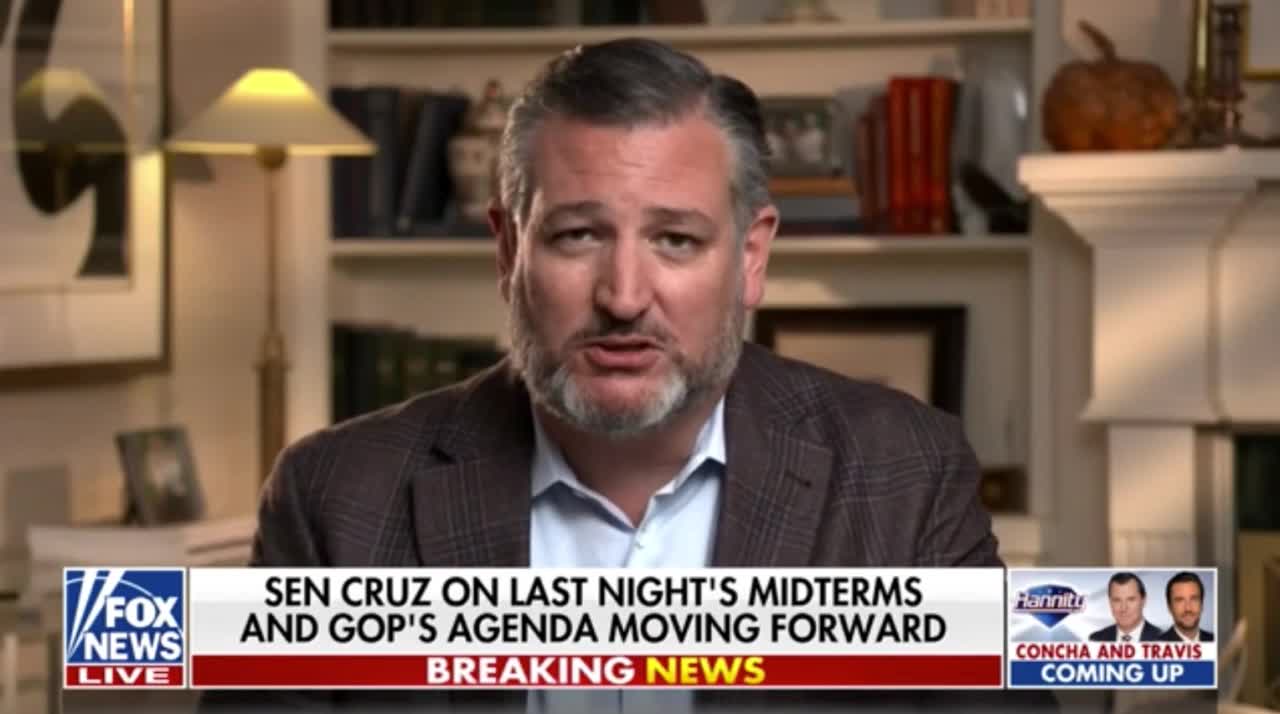 Ted Cruz Drops A Midterm Lesson: 'If We Don't Stand & Fight, We Don't Win'