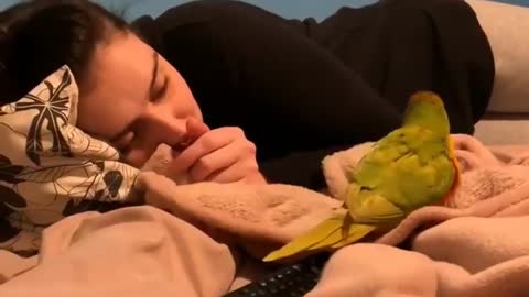 Birdie Playing Next To His Mum In Bed