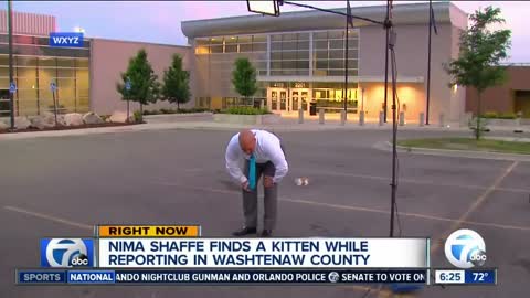 Stray Kitten Crashes Reporter's Live Shot