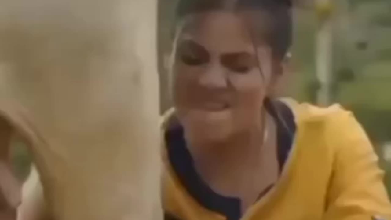 دوشيدن شيرگاو