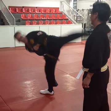 Jump Spinning Heel Kick