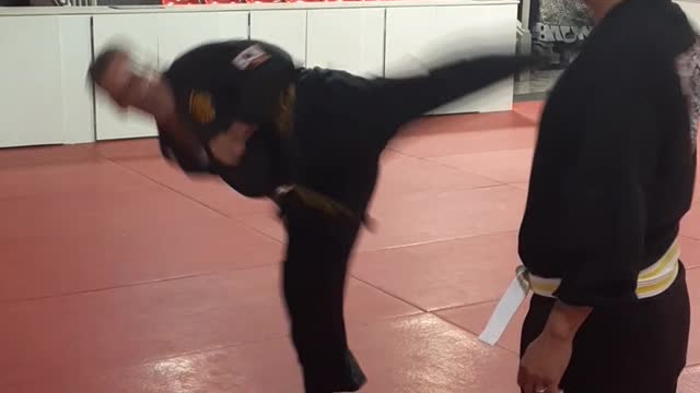 Jump Spinning Heel Kick