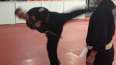 Jump Spinning Heel Kick