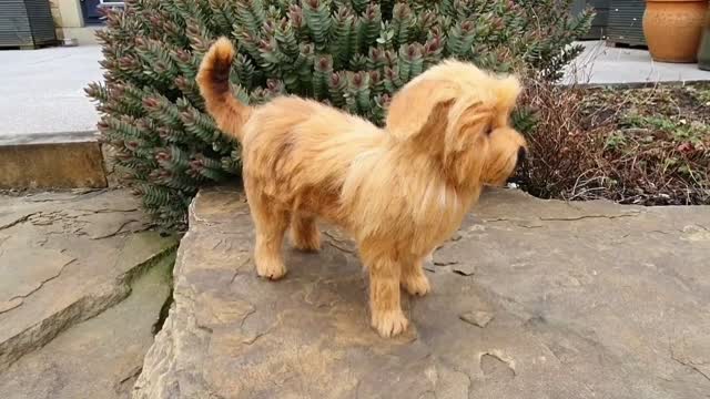 How to Make a Needle Felted Dog! (LOOKS REAL!!!)