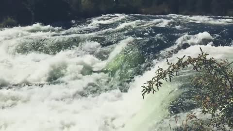 A Rapid Stream Footage