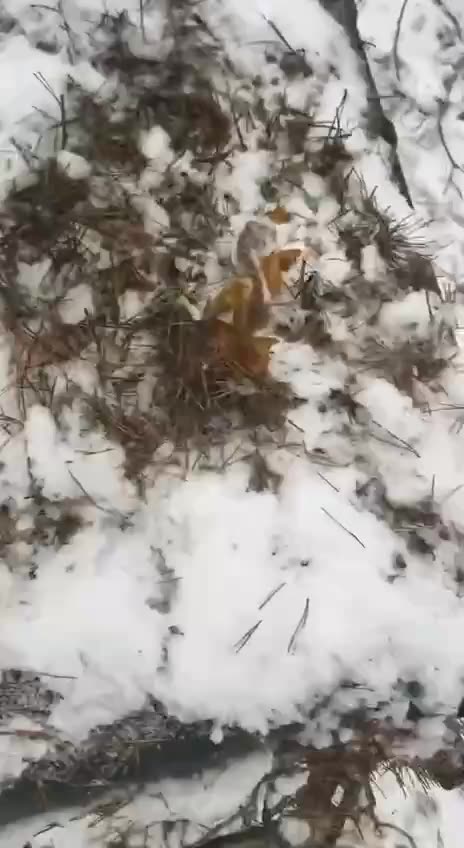 Going Through Equipment Left By Fleeing Russians