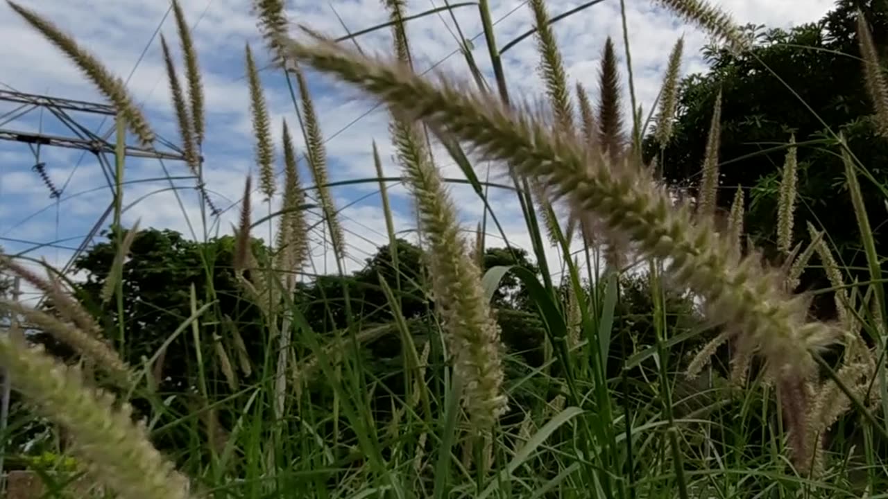 Nature Crashing On Rocks