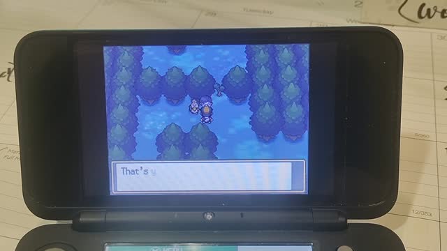 Pokemon HeartGold:A Farfetch'd Tale