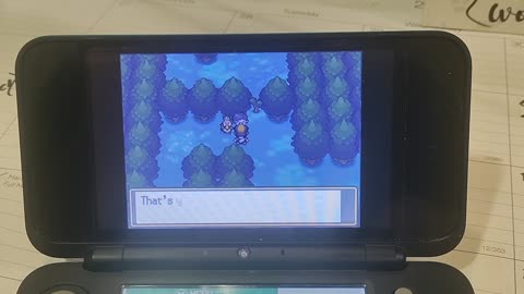 Pokemon HeartGold:A Farfetch'd Tale