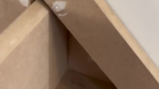 Making the little man a den🐻🤎