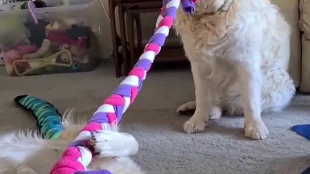 Anepicgameoftugofwar