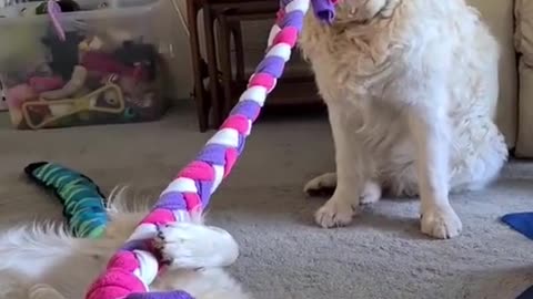 Anepicgameoftugofwar
