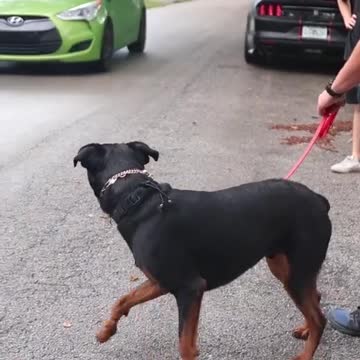 Teach them young, so they don't make stupid mistakes