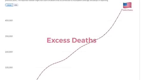 US Excess Deaths