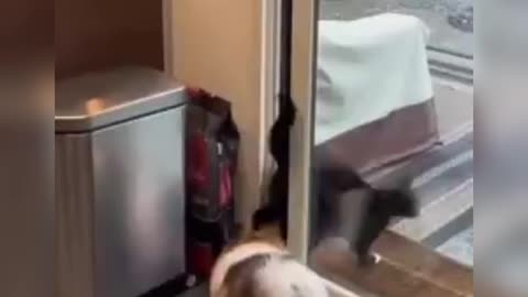 😻😻😻😻