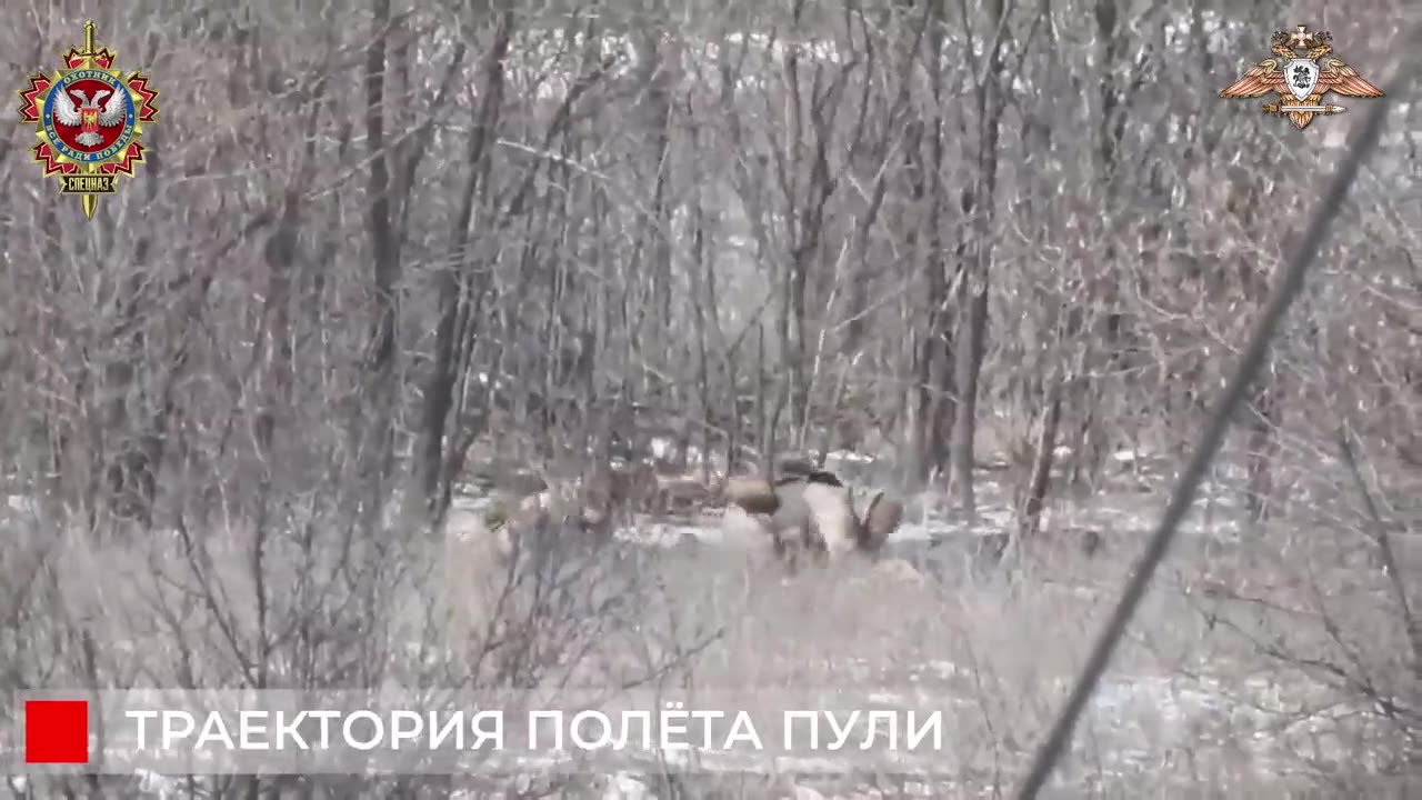 The precise shots from Russian special forces snipers