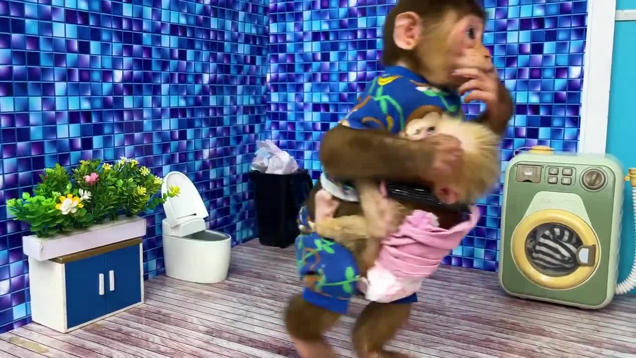 Monkey take care of the monkey to go the toilet and do laundry