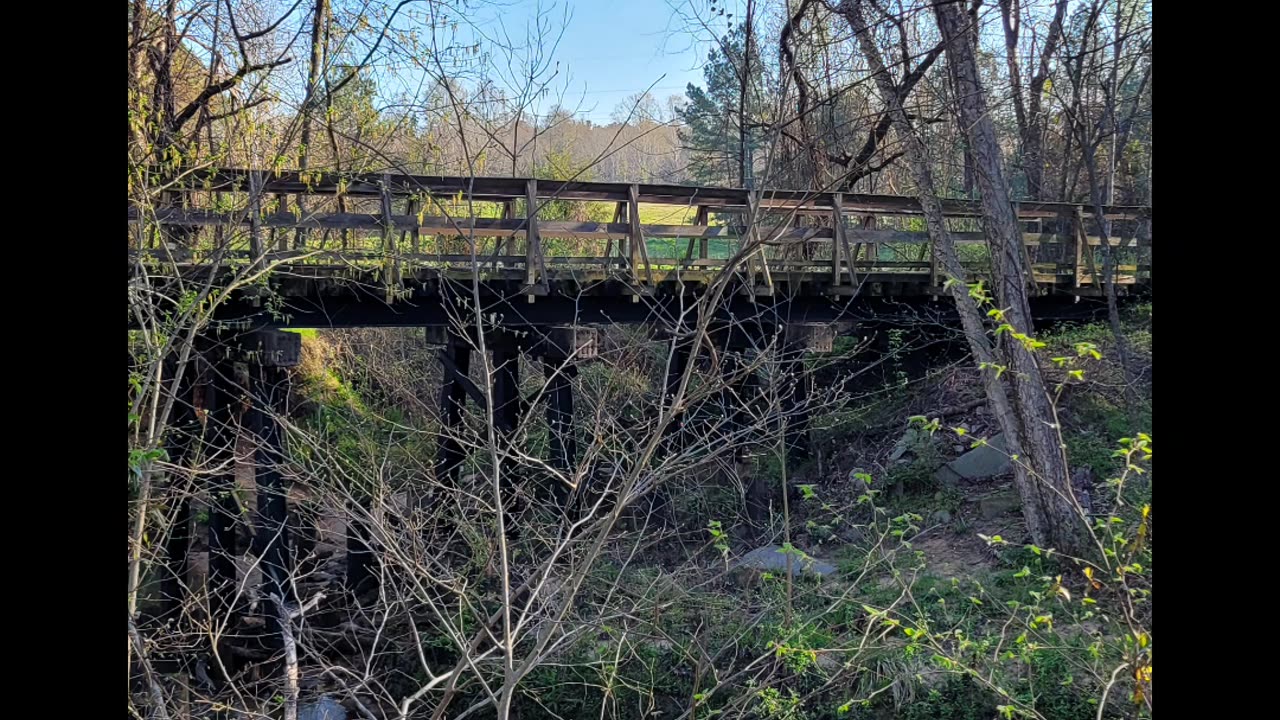 Nature pics