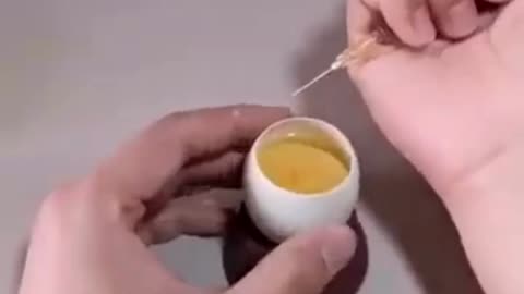 How a Chick Born From An Egg