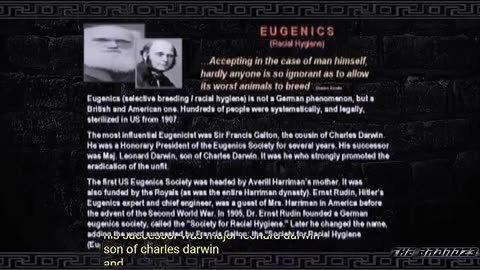 The Order Of The Black Sun