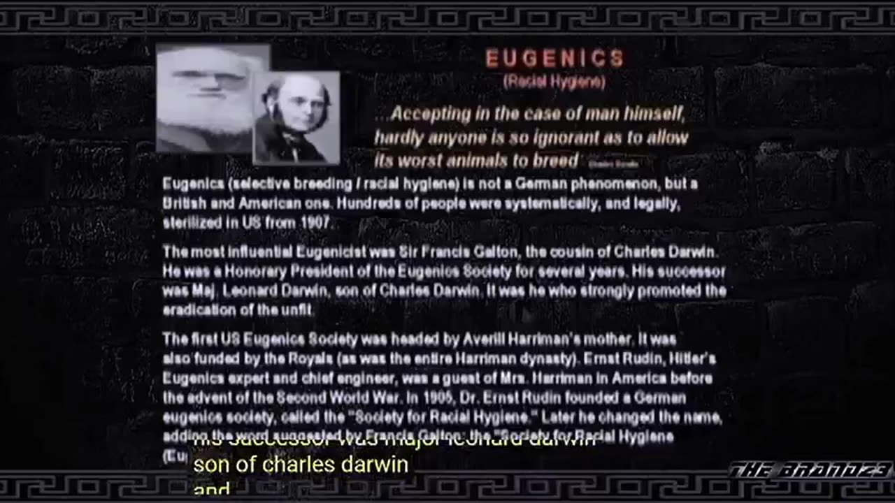 The Order Of The Black Sun