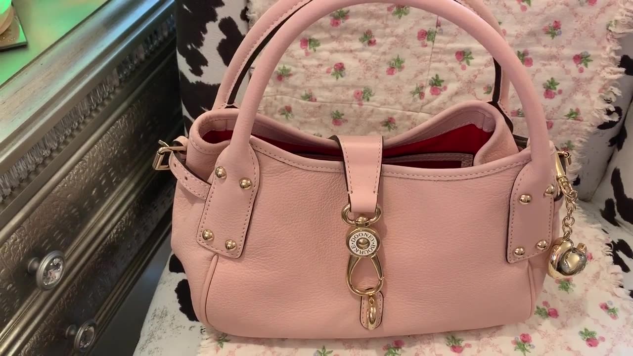 What's in my Dooney & Bourke Belvedere Small Logo Lock Bag in Blush