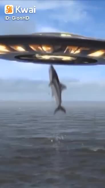 UFO KIDNEW THE WHALE FROM INSIDE THE SEA 2022