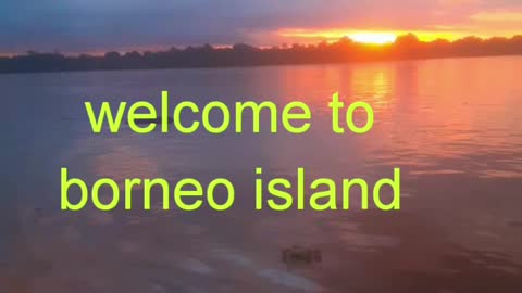 Island borneo in indonesia