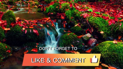 12K Ultra HD relaxation 30 min movie must watch