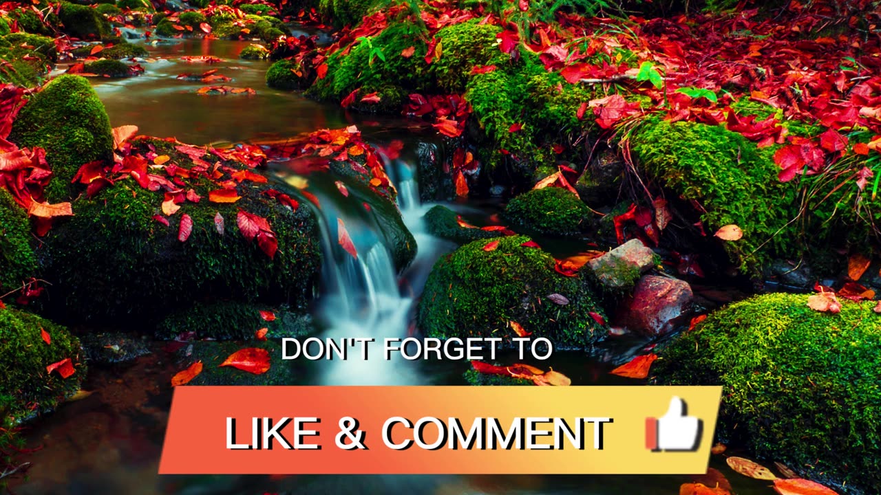 12K Ultra HD relaxation 30 min movie must watch