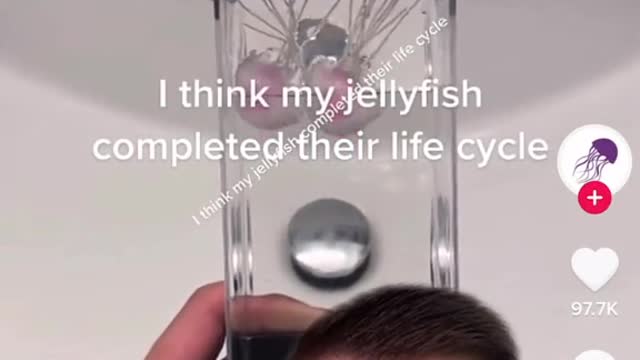 Bye