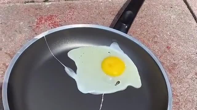 Is It Hot Enough to Fry an Egg?