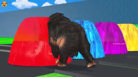 Color Fountain crossing with Cow, Gorilla,moth, Tiger,Buffalo_Cut
