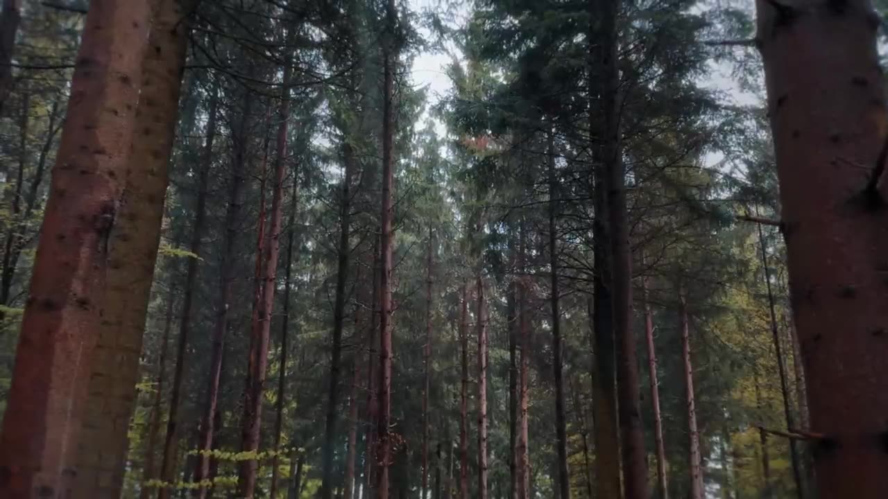 How to film Cinematic B Roll ANYWHERE with iPhone (5 Pro Tips)