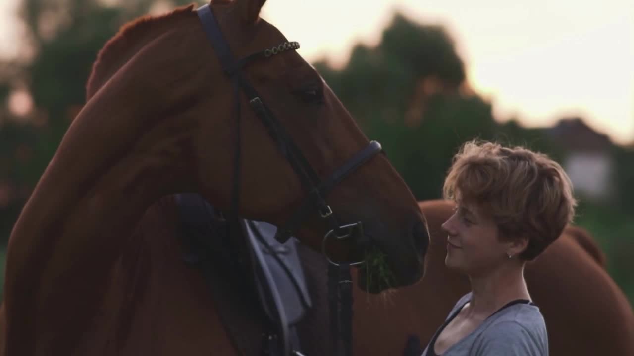 Girl is stroking the horse