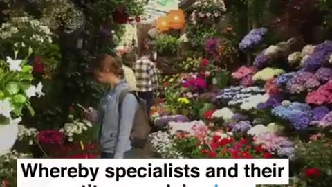 Paris Is Planning To Become A ’15-minute City’ | WEF